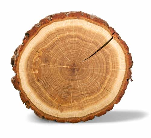 Massivholzbett Ahorn